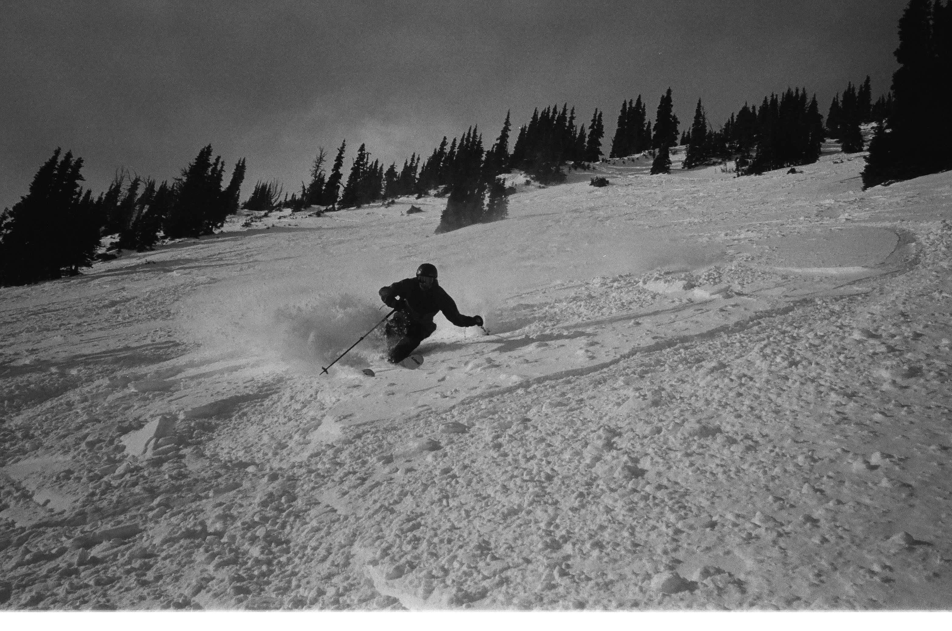 Skiing powder in the trees